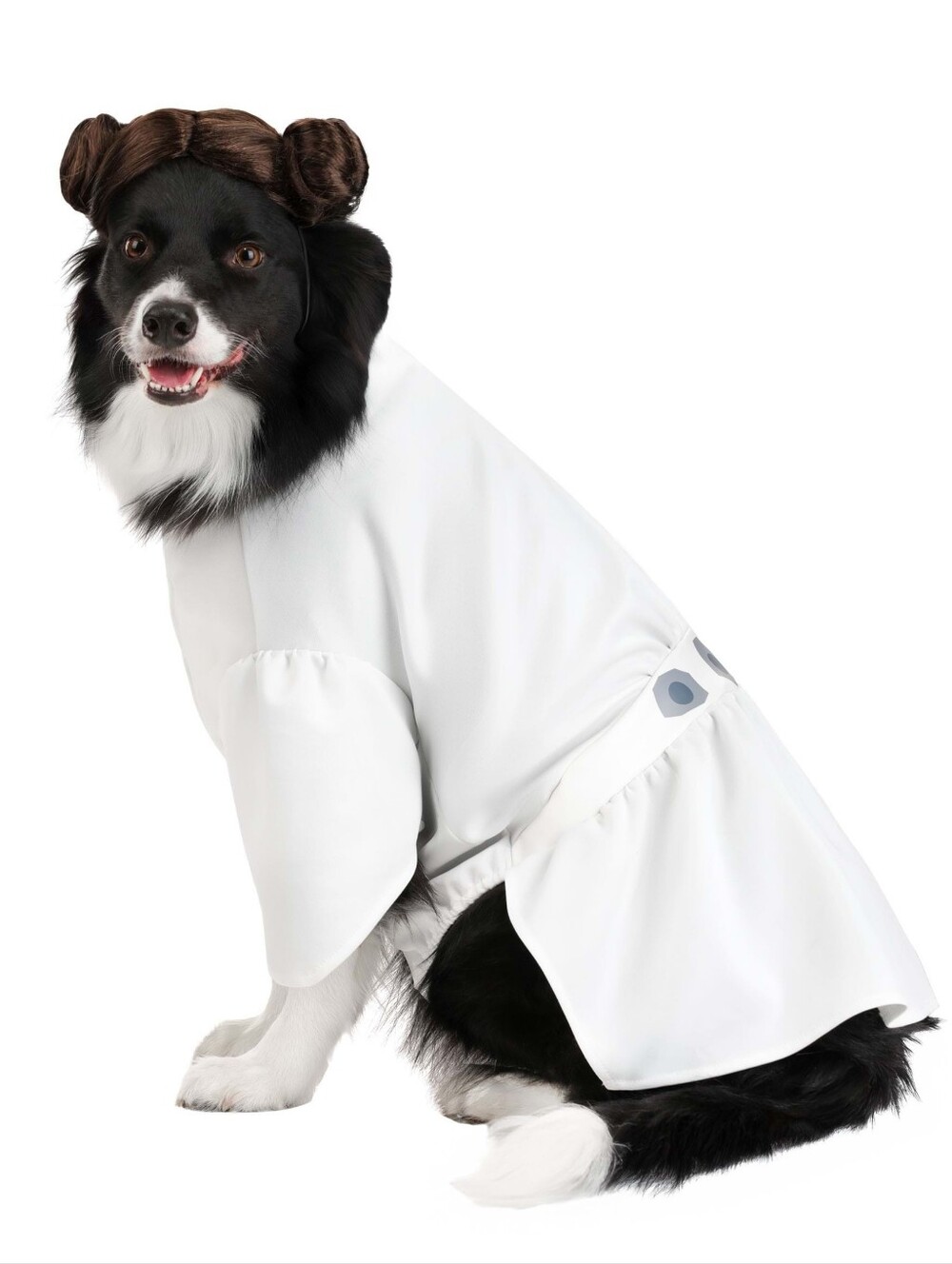 Star Wars Princess Leia Dog Costume